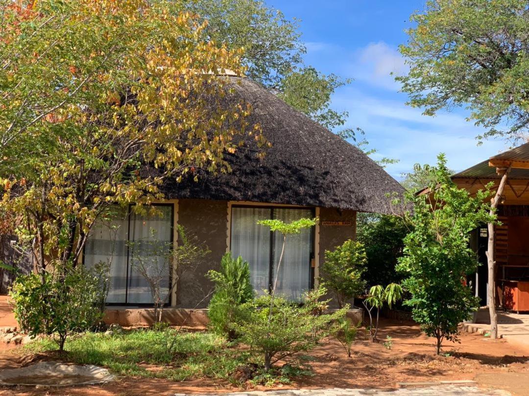 Jungle Breeze Home Stay 卡萨内 外观 照片