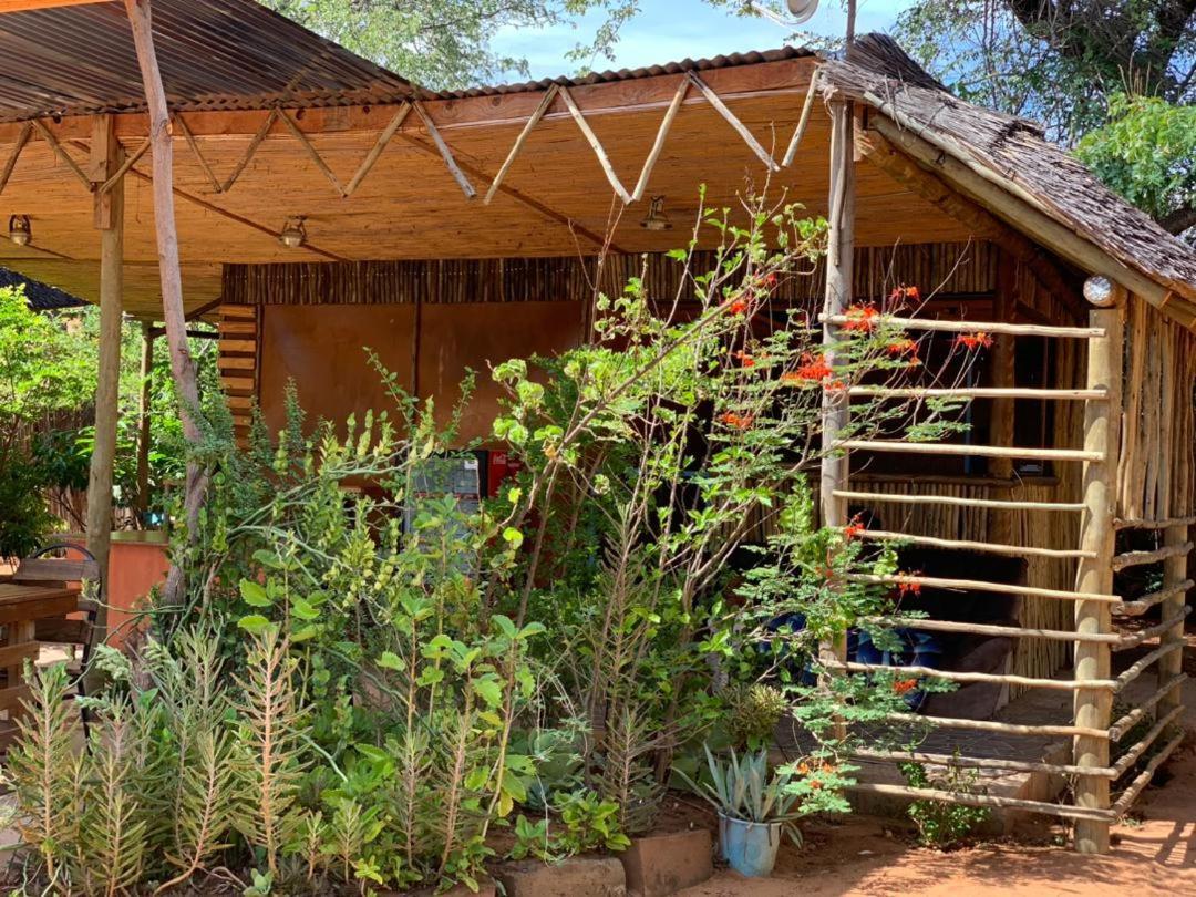 Jungle Breeze Home Stay 卡萨内 外观 照片