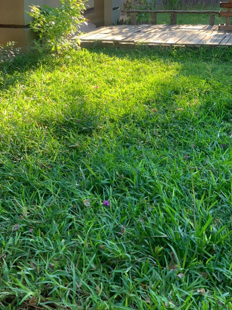 Jungle Breeze Home Stay 卡萨内 外观 照片
